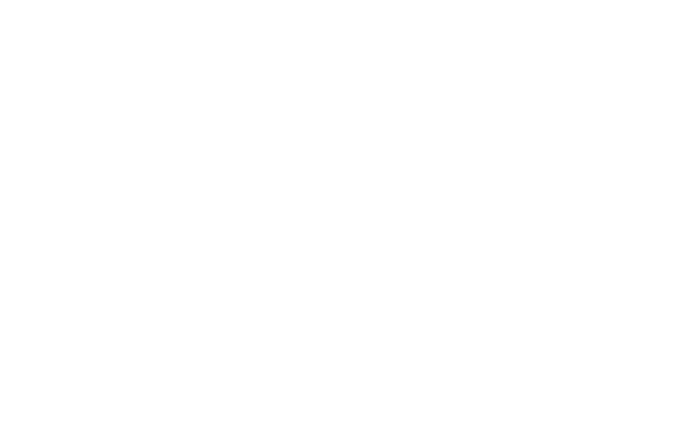 Icône personnalisée