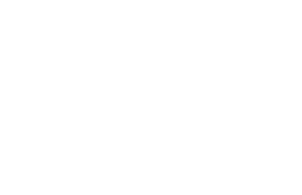 Icône personnalisée